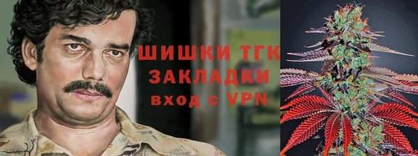 винт Белокуриха