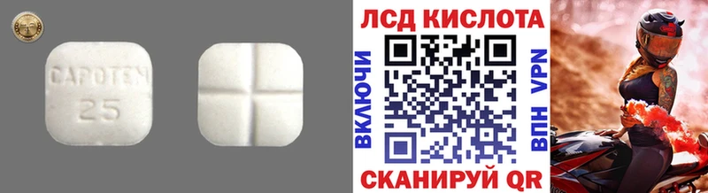 LSD-25 экстази кислота  Светогорск 