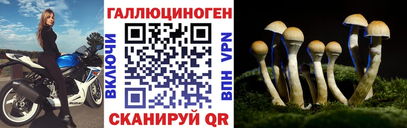 Галлюциногенные грибы MAGIC MUSHROOMS  Светогорск 